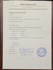 Employment Verification Letter