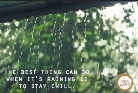 tealand_38433510_852730441588718_2841205429915090944_n